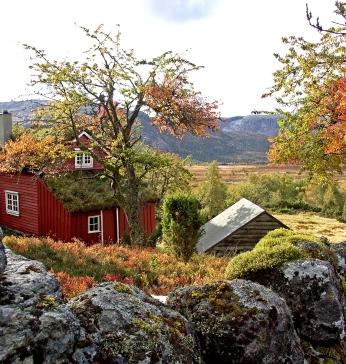 Livastøl.
