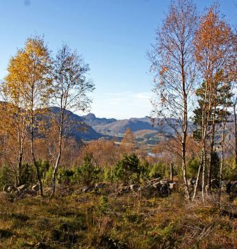 Utsikt fra tomt.